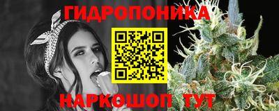PSILOCYBIN Краснознаменск