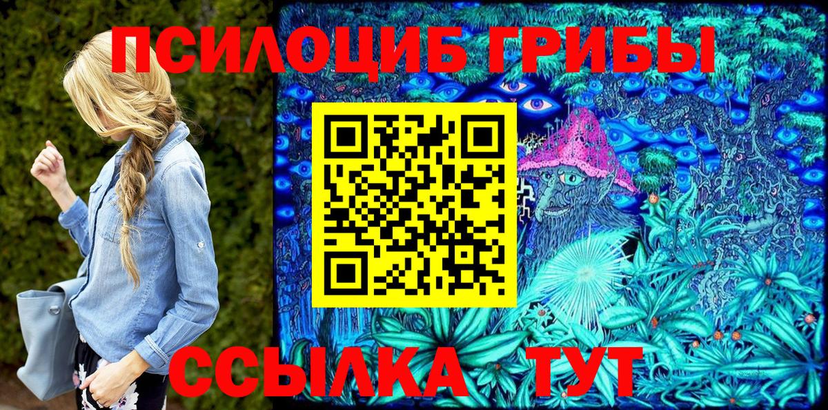 Карачаевск  купить закладку  Вход с VPN  Псилоцибиновые грибы ЛСД 