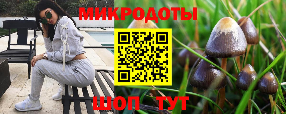 Галлюциногенные грибы мухоморы Карачаевск